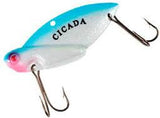 Cicada By Reef Runner sku001
