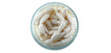 Gulp! Alive!® Waxies sku004