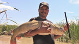 Muddy River Mud Stick by Hook Setter and Muddy River Catfishings