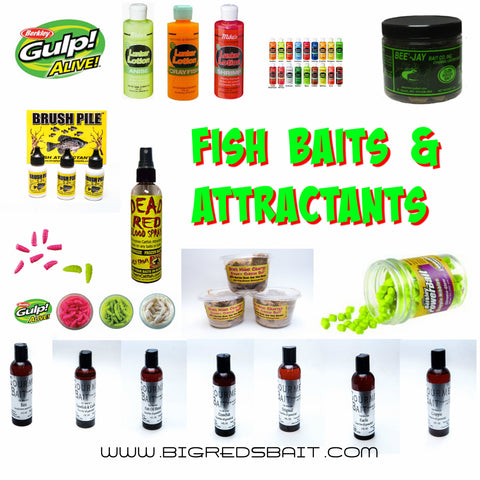 Fish Baits And Attractants